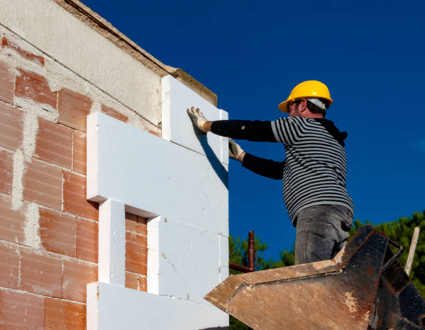Best Spray Foam Insulation in Buena Vista, CO